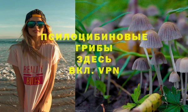 прущая мука Зеленокумск