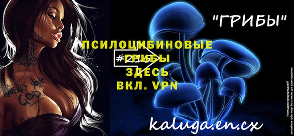 амф Заволжск