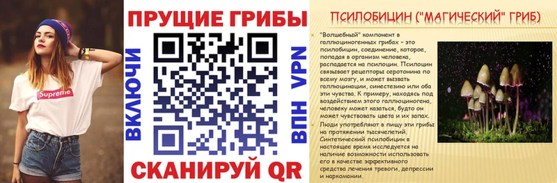 Купить  Истра  Галлюциногенные грибы Magic Shrooms 